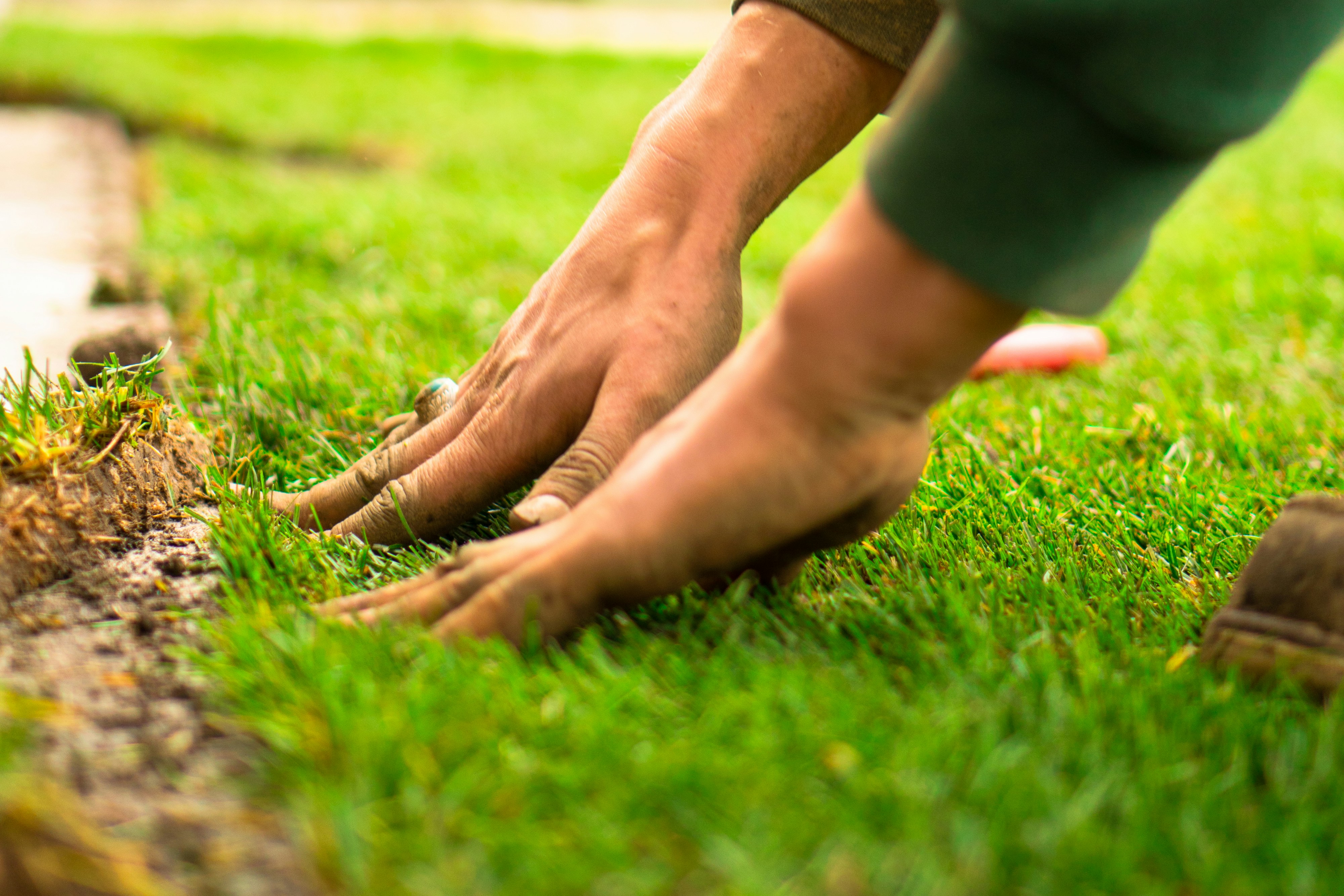 Lawn and garden maintenance — Island Green Services